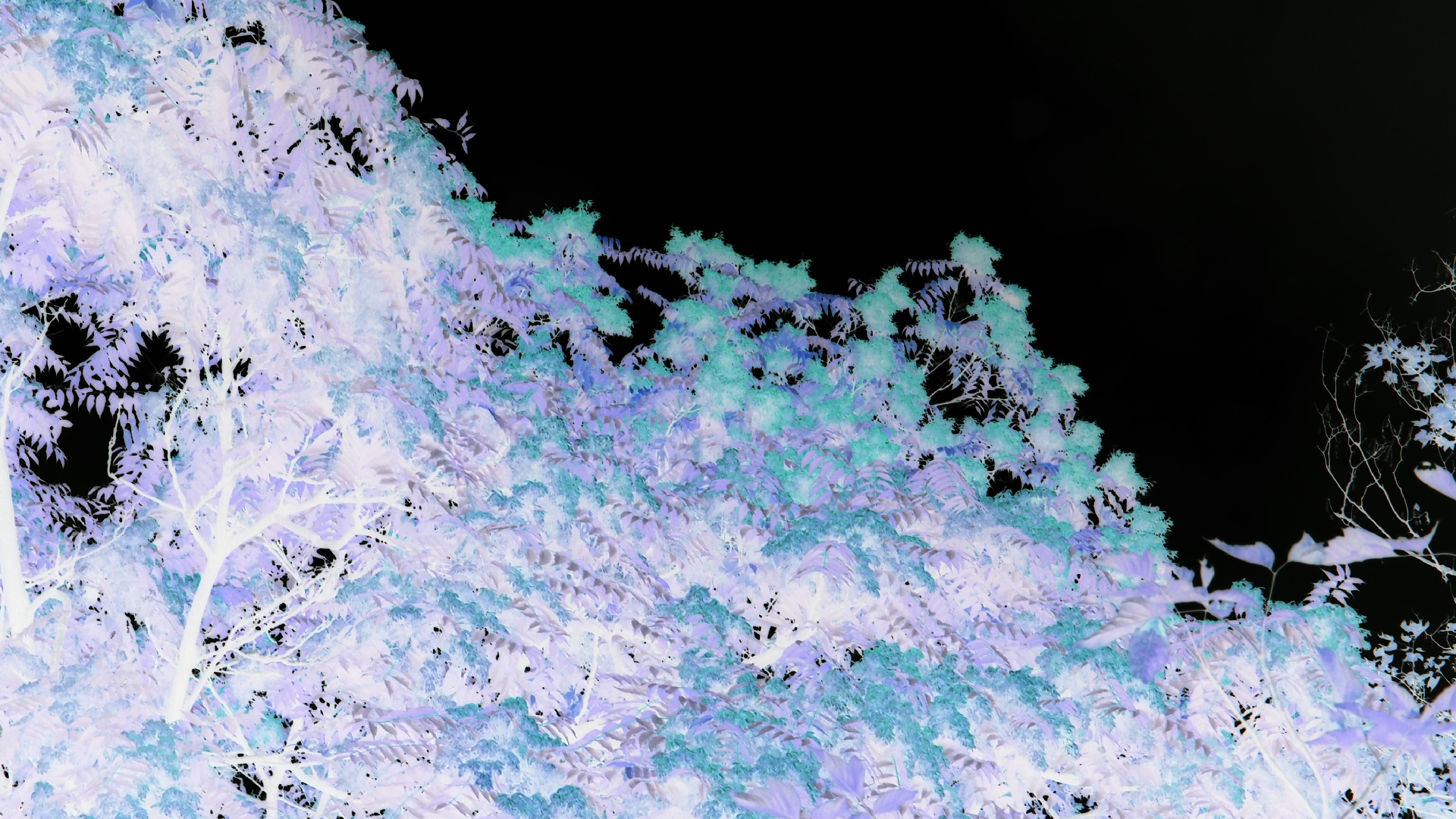 2021-08-29 Das Kleine Regen Rhythmus Orchester spielt 'autonome Beats' (Spiegel)